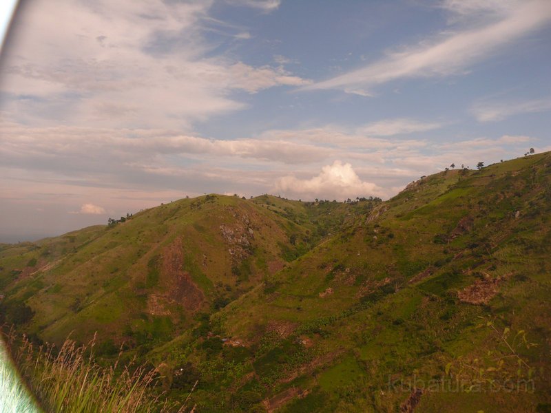 256 254 P1130165.jpg